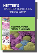 netters-histology-flash-cards-updated-edition
