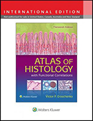 Atlas Of Histology With Functional Correlations Int Ed 13
