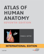 Atlas of Human Anatomy 7th (Netter)