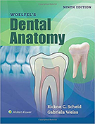 Woelfels Dental Anatomy Ninth Edition