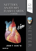 Netter's Anatomy Flash Cards, 5th Edition