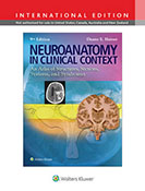Neuroanatomy An Atlas of Structures, Sections, and Systems