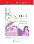 Histology 8e A text and Atlas (Ross)